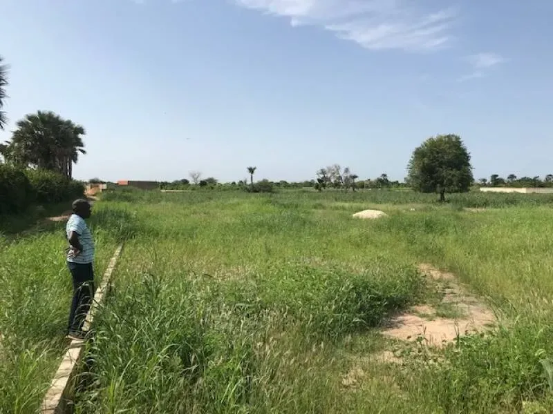 Terrain à vendre | Saly Joseph
