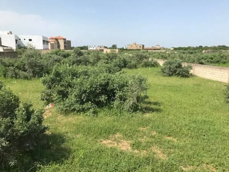 Terrain à vendre | Saly centre vers Ngaparou