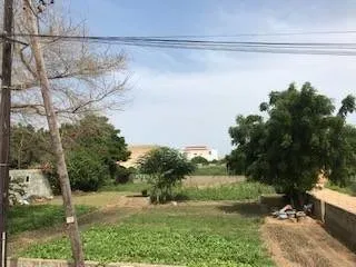 Terrain à vendre | Saly centre